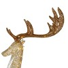 55" Prelit Crystal Champagne Standing Buck - National Tree Company - 3 of 3