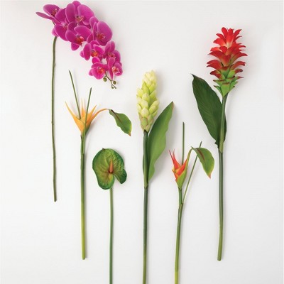 Sullivans Artificial Set of 6 Tropical Stems 40"H, 34"H, 34"H, 30.5"H, 28.5"H & 27"H Multicolor Flowers