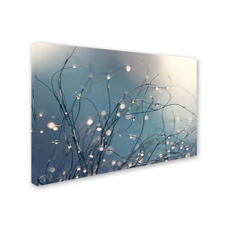 Abstract Blue and White Canvas Print Art 12" x 19"
