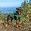 FurHaven Flex-Fit Reversible Dog Coat - 3 of 4