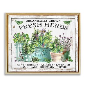 Stupell Industries Organic Fresh Herbs Floating Frame Canvas Art - 1 of 4
