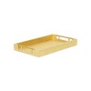 Cheung's Lusan Vinyl Tray - Gold Faux Snakeskin - 2 of 4