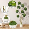 5FT/6FT/7FT Artificial Umbrella Schefflera Tree - Multiple Trunks Design in White Pot - Faux Floor Plant for Home Office or Indoor Decor - 3 of 4