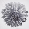 SEVOBAL Shower Curtain Printed Floral Photo Realistic 100 percent Cotton Easy Care Modern Bathroom Decor, Gray, 72"*72"*0.13" - 3 of 4