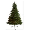 Nearly Natural 8-ft South Carolina Spruce Christmas Tree with 700 White Warm Lights and 3412 Bendable Branches - 2 of 4