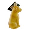 Old World Christmas 4.0 Inch Labrador Retriever Yellow Dog Lab Best Friend Tree Ornaments - 2 of 2