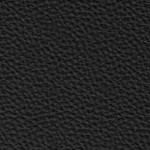 illinois fighting illini