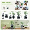 LunaLulinlk Grey upgraded version artificial plant cat litter box with deodorizing scoop - 4 of 4