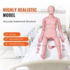 VEVOR Nursing Training Manikin, Female Life Size Demonstration Human Manikin for Nursing Training, Multifunctional Education Teaching Model Supplies - 3 of 4