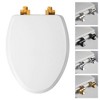 Benton Soft Close Enameled Wood Toilet Seat Never Loosens Brushed Gold Hinge White - Mayfair by Bemis - 2 of 4