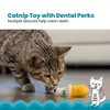 Catstages Dental Banana Cat Food Shaped Toy - 4 of 4
