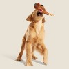 BARK Old Fashioned Sploot Beer Dog Toy - image 4 of 4
