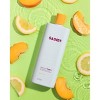 SadieB Adventurer Hydrating Peach Citrus Shampoo - 10 fl oz - 2 of 4
