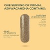 Primal Harvest Ashwagandha and Mushroom Extract Supplement 1 Pack - 4 of 4