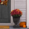 Tierra Verde Crescendo Indoor Outdoor Self-Watering Planter Pot Black 19"x23" - 2 of 4