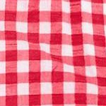 vivid red gingham