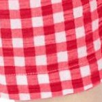 vivid red gingham