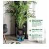 Set of 4 Self-Watering Planters (16" tall) with built-in drainage & water monitor. Perfect for patio, porch, living room, or office. - 3 of 4