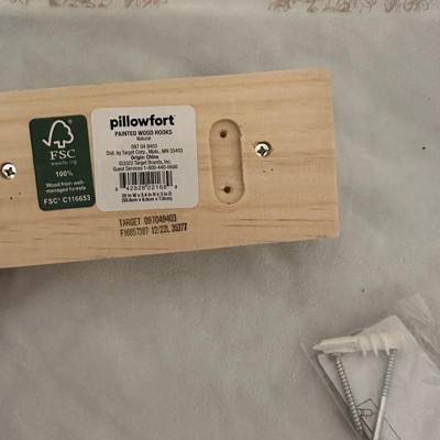 Painted Kids' Wood Hooks - Pillowfort™ : Target
