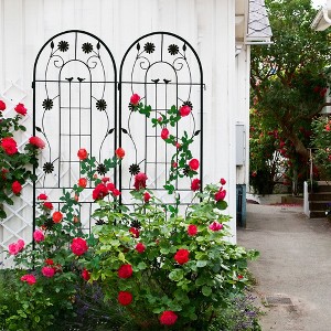 Wooakway 2 Pack Metal Garden Trellis 71" x 19.7" Rustproof Trellis for Climbing Plants Outdoor Flower Support - 1 of 4
