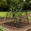 Garden Arch Trellis for Climbing Plants Outdoor Garden Arch Arbor Tunnel Trelli Metal Frame Trelli Support Vegetables Trellis for Raised Bed, 4x4FT - 3 of 4