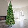 National Tree Company First Traditions Pre-Lit Pencil Rowan Hinged Artificial Christmas Tree Multicolor Lights - 3 of 4