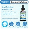 Why Not Natural Organic Liquid Zinc Drops Supplement with Chelated Picolinate and Bisglycinate, Vegan - 2 of 4