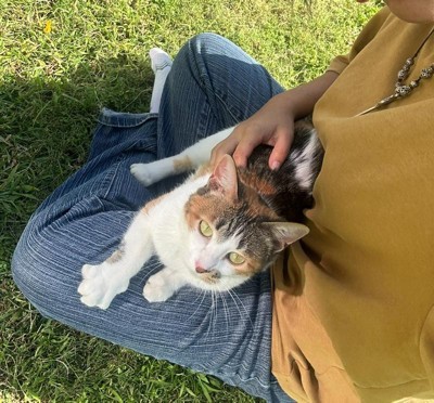 Guest review image 2 of 2, zoom in