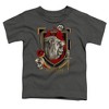 Toddler Boys' Harry Potter Gryffindor Magicial Mischief Level Up Crest T-Shirt - 2 of 4