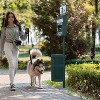 Flash Furniture Pet Waste Station-Pull Out Bag Dispenser-Sanitizer Bottle-Trash Can w/Lid-Green - 3 of 4
