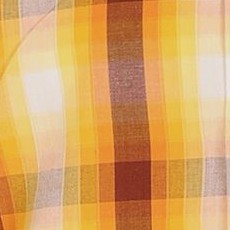 1087 - gold / brown