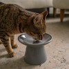Dexypaws: Flat Top Ceramic Cat Bowl, Grey, 7.5oz, Pet Feeding Dish - 2 of 4