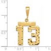 Black Bow Jewelry 14K Yellow Gold, Varsity Collection, Medium D/C Pendant Number 13 - 3 of 4