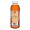 GreenWise Organic Kombucha, Peach, 15 fl oz.