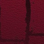 tampa bay buccaneers