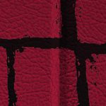 tampa bay buccaneers