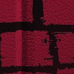 tampa bay buccaneers