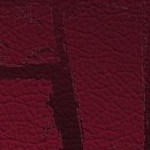 tampa bay buccaneers