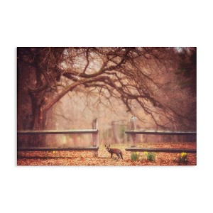 Stupell Industries Sly Guy Fox in Forest Canvas Art - 1 of 4