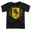 Toddler Boys' Harry Potter Abstract Hufflepuff House Shield T-Shirt - 2 of 4