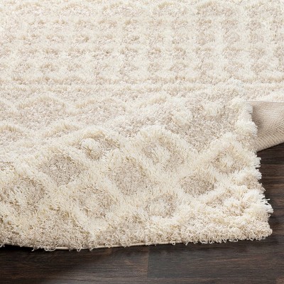 Ivory Shag Rectangular Stain-Resistant Rug