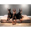 Big Barker 7" Orthopedic Dog Bed - Sleek Edition - 2 of 4