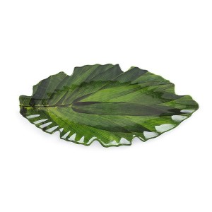 Q Home | Zen 16" x 7" Melamine Green Small Platter - 1 of 1
