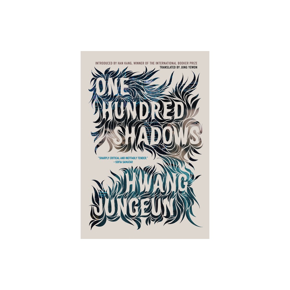 One Hundred Shadows - by Hwang Jungeun (Hardcover)