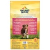 Nature's Recipe Grain Free Salmon, Sweet Potato & Pumpkin Recipe Dry Dog Food - 4 of 4