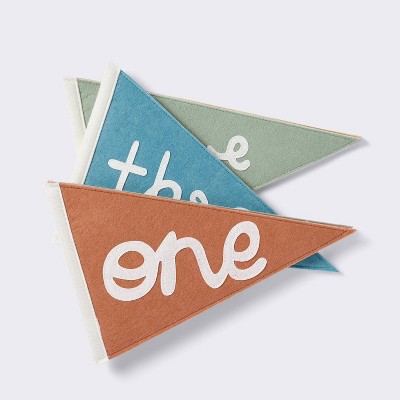 Milestone Felt Pennants - Multi Color - Cloud Island™