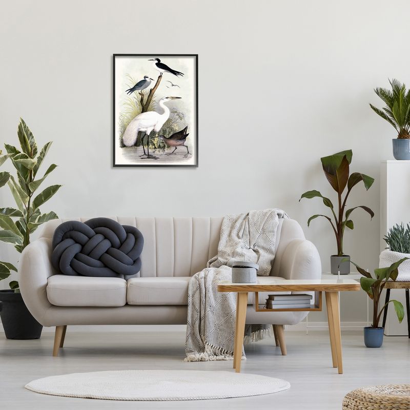 Stupell Industries Varied Crane Birds Gathered Riverbank Stream Botanicals Framed Giclee Art, 3 of 6