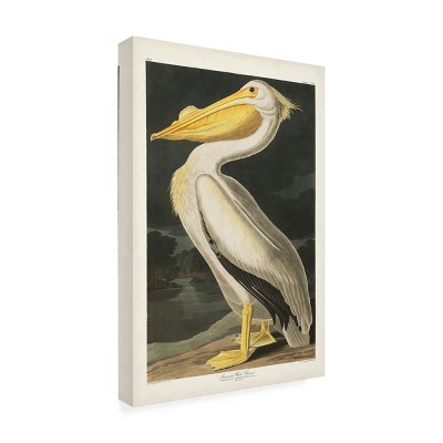 Trademark Fine Art -John James Audubon  'American White Pelican' Canvas Art