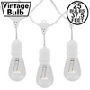 Novelty Lights 37.5 Feet Heavy Duty Light Strings and Sets with 25 Suspended E26 Sockets, White Wire PVC Stringer, 18" Spacing, End-To-End Connectable - 2 of 4