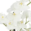 Dahlia Studios Potted Faux Artificial Flowers Realistic White Phalaenopsis Orchid in Gold Ceramic Pot Home Decoration 23" High - 3 of 4